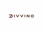 Cupom de Desconto Divvino