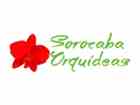 Cupom de Desconto Sorocaba Orquídeas